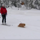 Illustration for article titled Winter Leisure Activity Cat Is A Very Good Cat